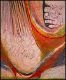 image/_image17.jpg, 2.6K