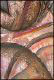 image/_image21.jpg, 2.3K