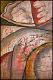 image/_image24.jpg, 2.3K