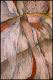 image/_image26.jpg, 2.2K