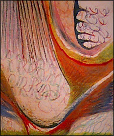 image/image17.jpg, 41.9K