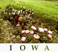 iowa