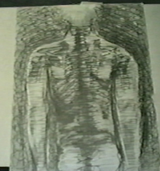 Picture 36
