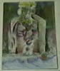 Picture 24