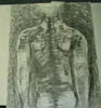 Picture 36