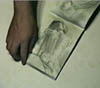 Picture 46