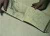 Picture 48